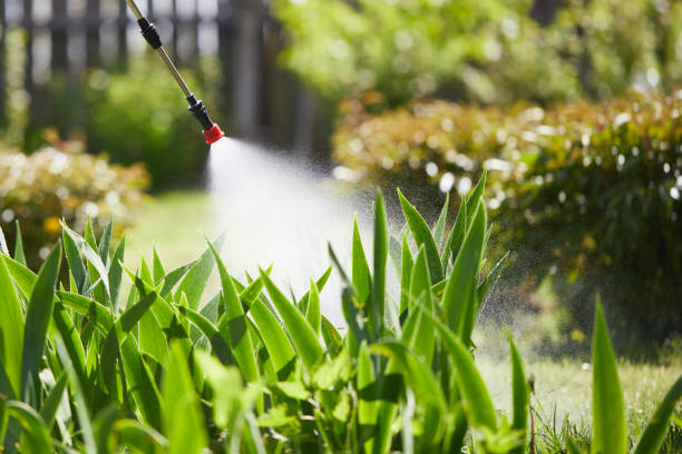 Tamper-Resistant Bait Stations for Rodents in Larose