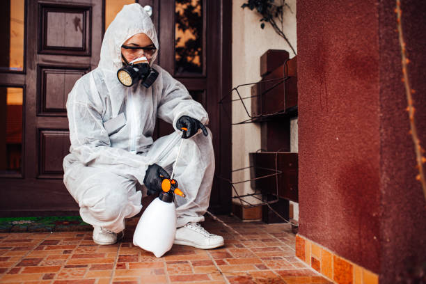 Attic and Crawl Space Rodent Treatment in Larose