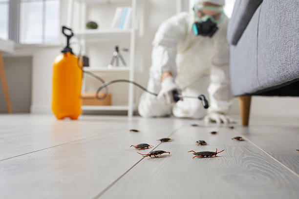 Commercial Rodent Management in Larose